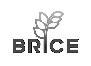 BRICE