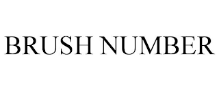 BRUSH NUMBER