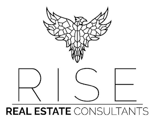 RISE REAL ESTATE CONSULTANTS