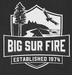 BIG SUR FIRE ESTABLISHED 1974