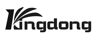 KINGDONG