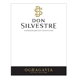 DON SILVESTRE OCHAGAVIA