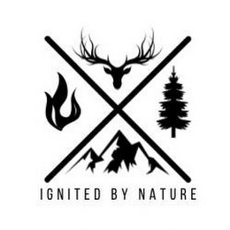 IGNITED BY NATURE