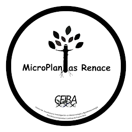 MICROPLANTAS RENACE CEIBA CENTRO DE ENSEÑANZA E INVESTIGACIÓN EN BIOTECNOLOGÍA Y AGROBIOTECNOLOGÍA PONTIFICIA UNIVERSIDAD CATÓLICA DE PUERTO RICO