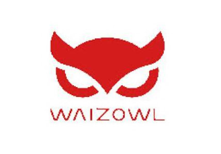 WAIZOWL