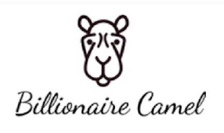 BILLIONAIRE CAMEL