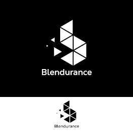 BLENDURANCE