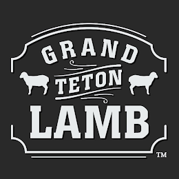 GRAND TETON LAMB
