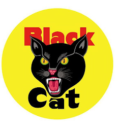 BLACK CAT