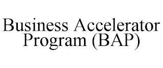 BUSINESS ACCELERATOR PROGRAM (BAP)