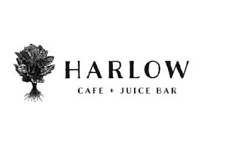 HARLOW CAFE + JUICE BAR