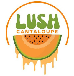 LUSH CANTALOUPE