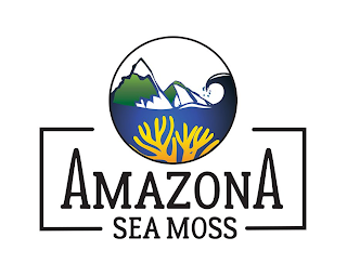 AMAZONA SEA MOSS