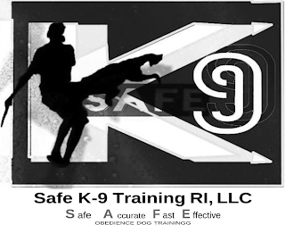 SAFE K9 SAFE K9 TRAINING RI, LLC SAFE ACCURATE FAST EFFECTIVE OBEDIENCE DOG TRAINING