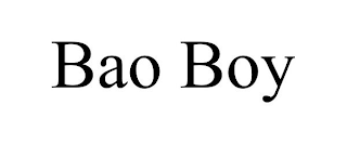 BAO BOY