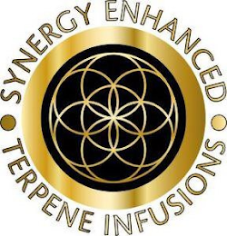 SYNERGY ENHANCED TERPENE INFUSIONS