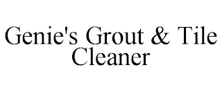 GENIE'S GROUT & TILE CLEANER