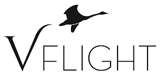 VFLIGHT