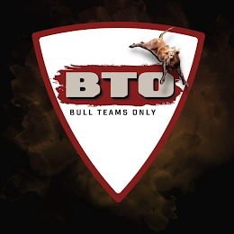 BTO BULL TEAMS ONLY