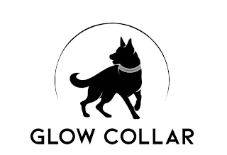 GLOW COLLAR