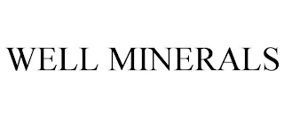 WELL MINERALS