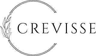 CREVISSE