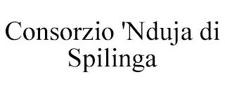 CONSORZIO 'NDUJA DI SPILINGA