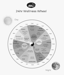 24HR WELLNESS WHEEL SILKIE DAY NIGHT 12PM 1PM 2PM 3PM 4PM 5PM 6PM 7PM 8PM 9PM 10PM 11PM HEART BALANCED LUNCH REST & DIGEST SHORT WALK SMALL INTESTINE HYDRATE POWER NAP WORK OR STUDY FRUIT SNACK BLADDER DRINK FLUIDS LIQUID WASTE COLLECTED & DISCHARGED KIDNEY FLUID REGULATION LIGHT BALANCED DINNER REST & DIGEST SHORT WALK MENTAL RELAXATION SHOWER SOCIALIZE/BONDING SOOTHING MUSIC PERICARDIUM TRIPLE BURNER PHYSICAL RELAXATION SEX WIND DOWN GET SLEEPY GALLBLADDER DEEP SLEEP CELLULAR REPAIR & REGENERATION LIVER DEEP SLEEP BLOOD DETOXIFICATION LUNG DEEP SLEEP MUSCUS REMOVAL SUPPORT BRAIN & MEMORY LARGE INTESTINE WAKE SEX OR EXCERCISE DRINK WARM FLUIDS POOP STOMACH WARM BALANCED BREAKFAST REST & DIGEST 15-30 MIN WALK OR GENTLE EXCERCISE SPLEEN DIGESTED BREAKFAST CONVERTS TO ENERGY HYDRATE WORK OR STUDY SNACK NUTRIENT ABSORPTION WATER REGULATION SELF CARE SERENITY DEEP SLEEP RESTORATION DEEP SLEEP DETOX DIGESTION ENERGY