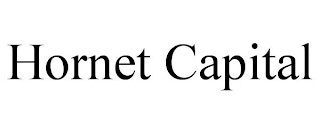 HORNET CAPITAL