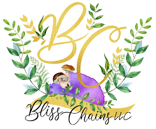 BC BLISS CHAINS LLC