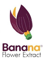 BANANA FLOWER EXTRACT