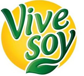 VIVE SOY