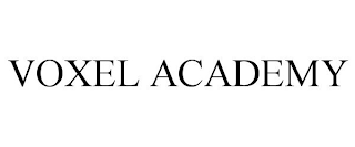 VOXEL ACADEMY