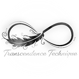 TRANSCENDENCE TECHNIQUE