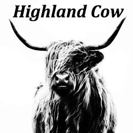 HIGHLAND COW