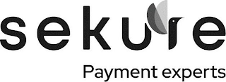 SEKURE PAYMENT EXPERTS