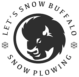 LET'S SNOW BUFFALO SNOW PLOWING