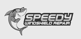 SPEEDY WINDSHIELD REPAIR