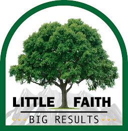 LITTLE FAITH BIG RESULTS