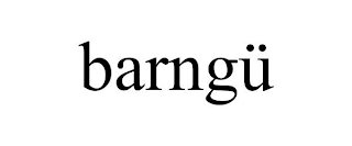 BARNGÜ