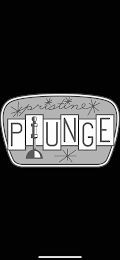 PRISTINE PLUNGE