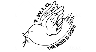 T.W.I.G.  2 TIM 3:16 THE WORD IS GOD'S