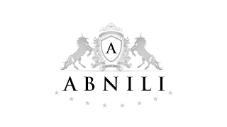 A SINCE 2023 ABNILI