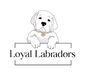 LOYAL LABRADORS