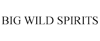 BIG WILD SPIRITS