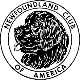 NEWFOUNDLAND CLUB OF AMERICA