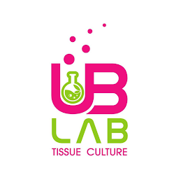 UB LAB TISSUE CULTURE