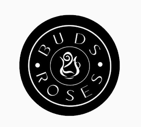 BUDS 2 ROSES