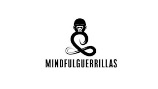 MINDFULGUERRILLAS