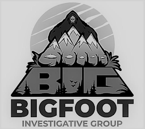 BIG BIGFOOT INVESTIGATIVE GROUP